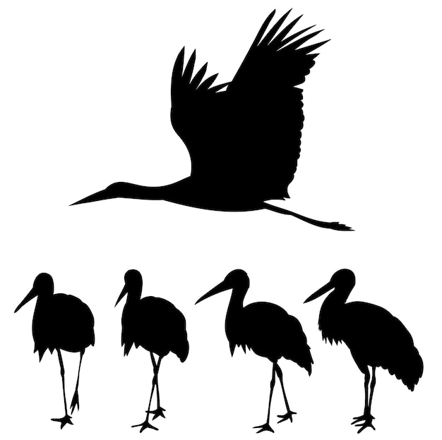 Vector isolated silhouette of bird stork set