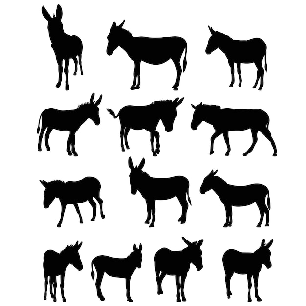 Vector isolated silhouette of a donkey collection