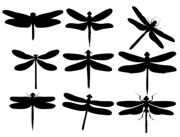 Vector isolated silhouette dragonfly insect set