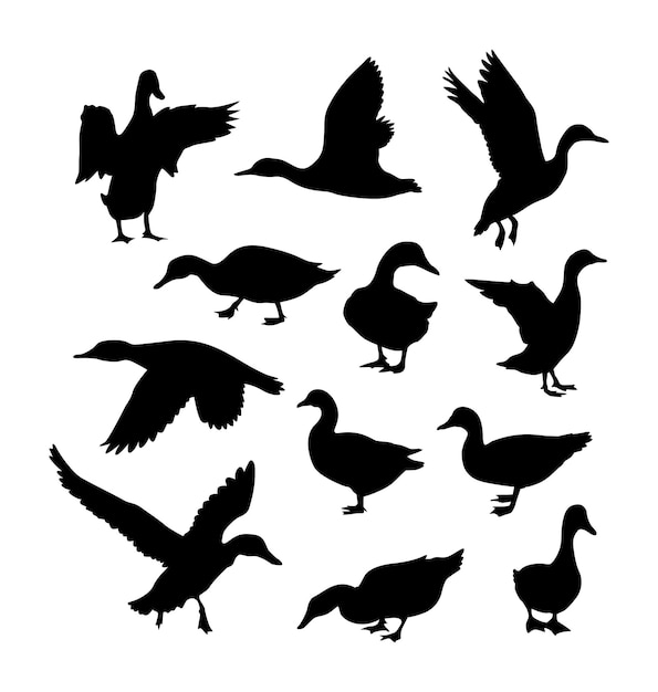 Vector vector isolated silhouette of a duck