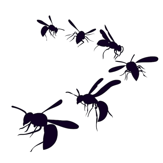 Vector isolated silhouette of a flying wasp bees