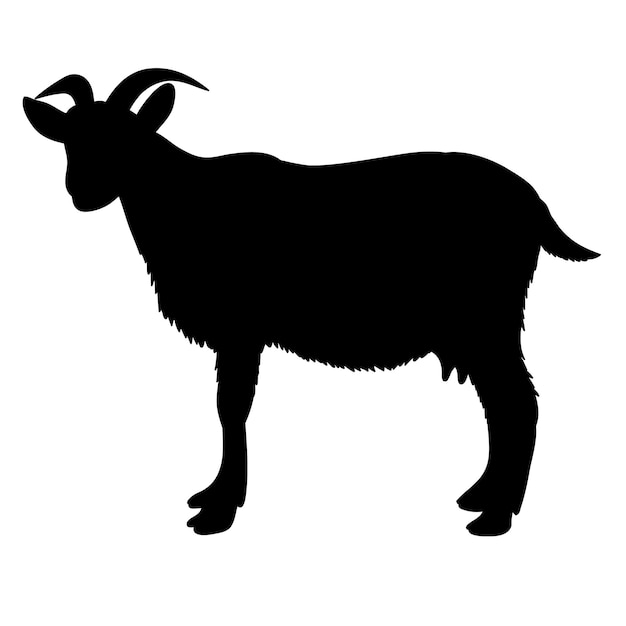 Vector isolated silhouette of goat on white background