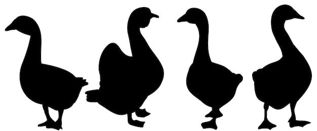 Vector isolated silhouette goose collection