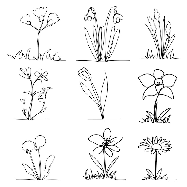 Vector isolated single line drawing of grass and plants sketch set