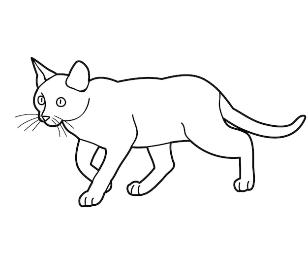 Vector isolated sketch of a cat