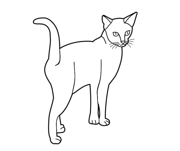 Vector isolated sketch of a cat