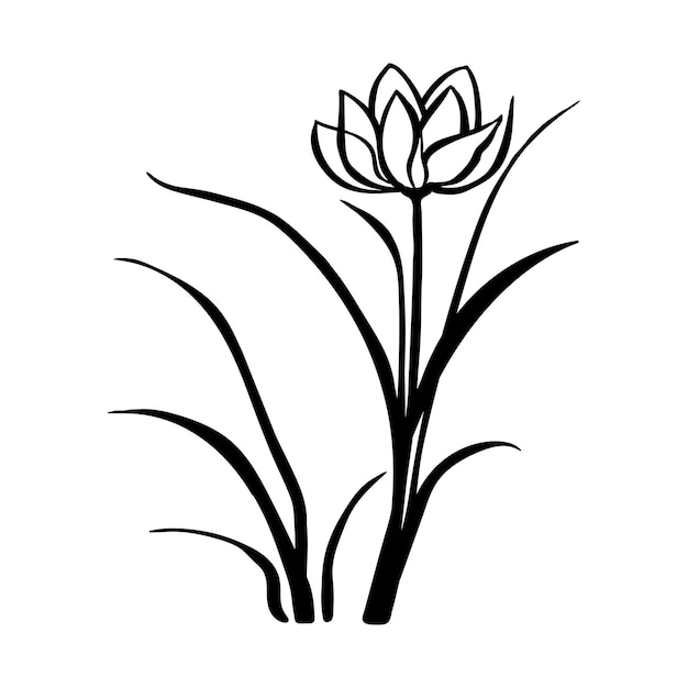Vector isoleren één lijn mooie magnolia bloem tekening kleurloze zwarte enkele lijn bloem contour