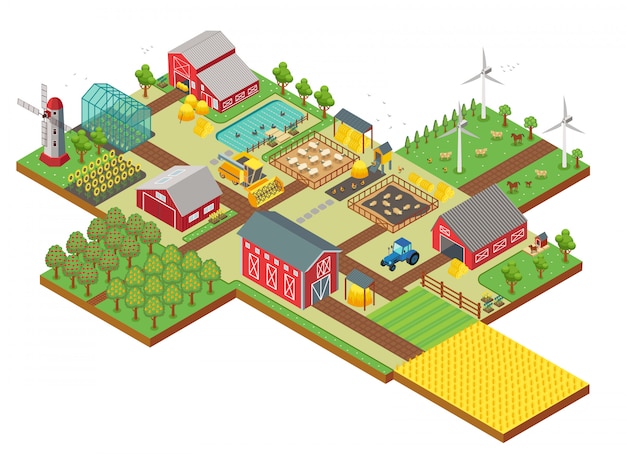 Vector vector isometric rural farm with mill, garden field, farm animals, trees, tractor combine harvester, house, windmill and warehouse for app and game