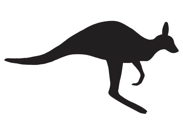 Vector jumping kangaroo silhouette isolated on white background