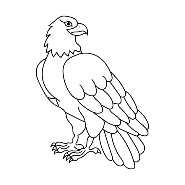 Vector kids coloring pages cute bird character vector illustration eps and image