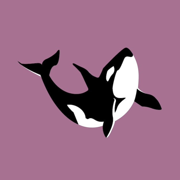 Vector vector killer whale on a pink background beautiful ink drawing ocean orca whale