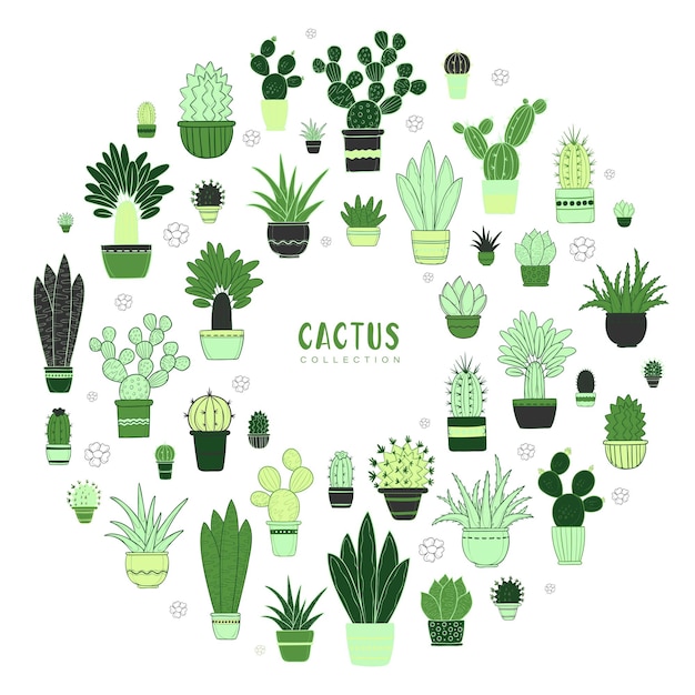 Vector kleurrijke cactus collectie Planten in decoratieve potten geïsoleerd op een witte achtergrond