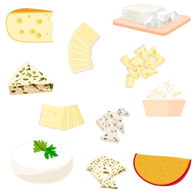 Vector vector kleurrijke set illustratie verschillende soorten kaas