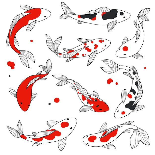 Vector koi set Hand getrokken collectie