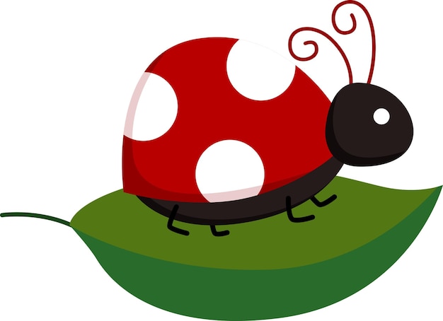 Un vettore di coccinella sopra una foglia