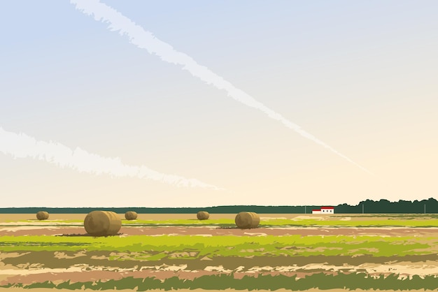 Vettore balle di fieno di paesaggio vettoriale su un campo campagna tranquilla estiva rurale agriturismo con mucchi di fieno rotondi