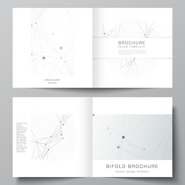 Vector layout of two covers templates for square bifold brochure flyer magazine cover design book design brochure cover gray technology background with connecting lines and dots network concept