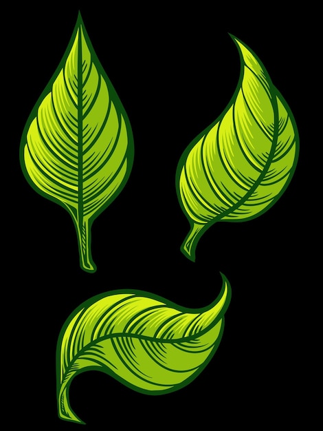 장신구 및 요소, 편집 가능한 색상에 대한 벡터 잎 디자인