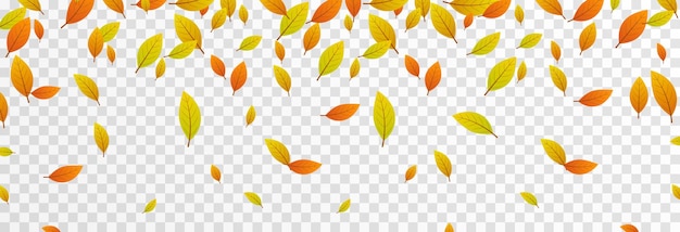 벡터 고립 된 투명 한 배경에 벡터 잎 가을 가을 잎이 나무에서 떨어지고 있습니다