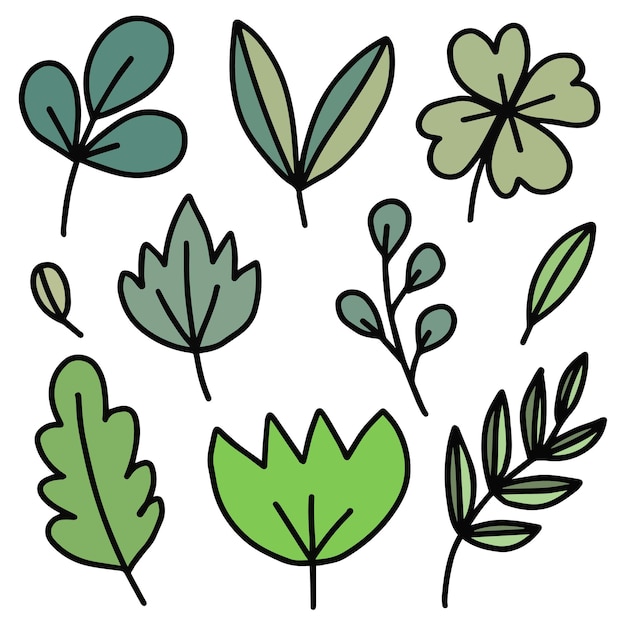 vector leaf plants green