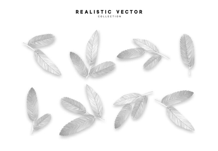 Vector 벡터는 현실적인 나무에서 나옵니다. 흰색.