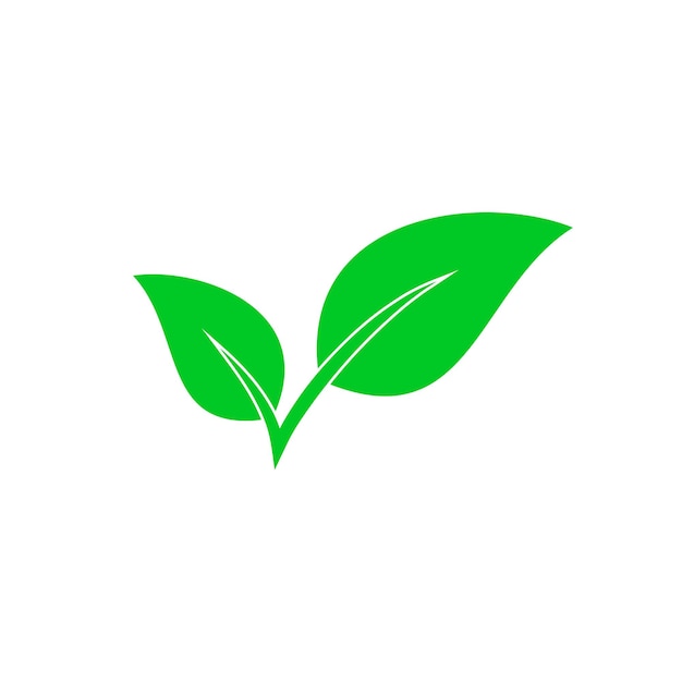 Vector Leaves icon isolated Green Eco icon