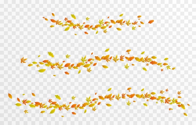 Vector leaves on isolated transparent background the wind blows off the leaves the wind blows