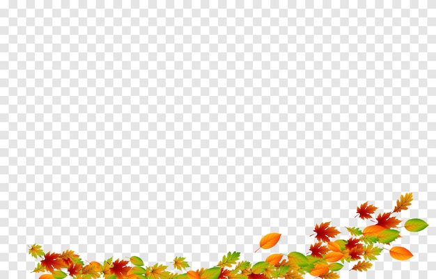 Vector leaves on isolated transparent background The wind blows off the leaves the wind blows