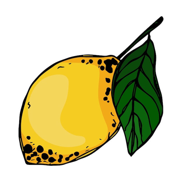 Clipart di limone vettoriale icona di agrumi disegnata a mano illustrazione della frutta per la decorazione del design web di stampa