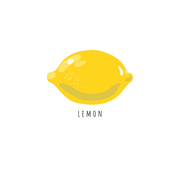 Vector lemon Yellow lemon illustration isolated on white Tropical citrus fruit simple lemon art