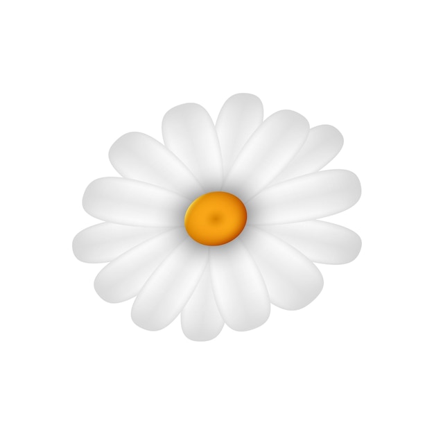 Vector lente daisy bloemen geïsoleerd op witte achtergrond decoratief element