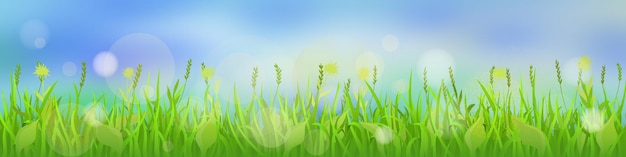 Vector lente illustratie gras en wazig achtergrond bokeh effect zonnige ochtend grote panorama
