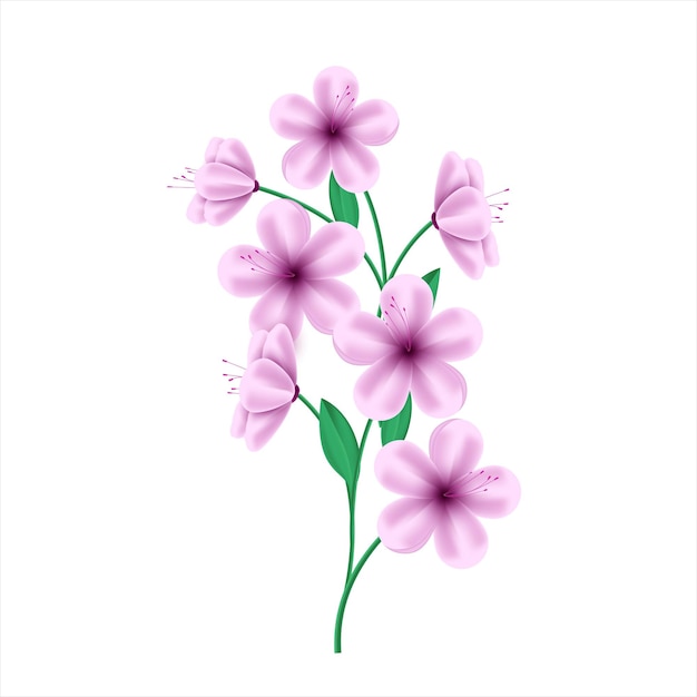Vector lente roze bloem op witte achtergrond