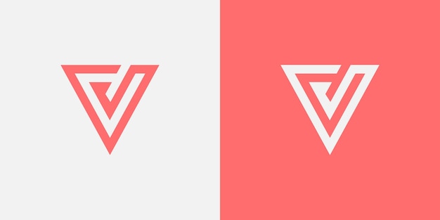 vector letter v logo icoon