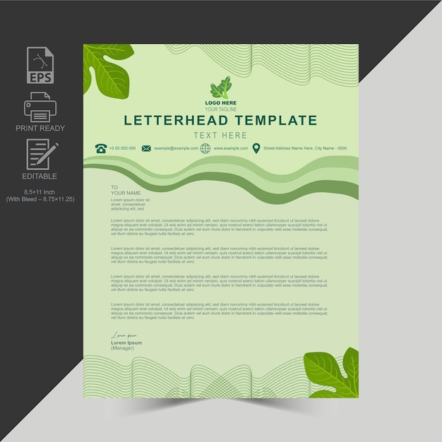 vector letterhead design