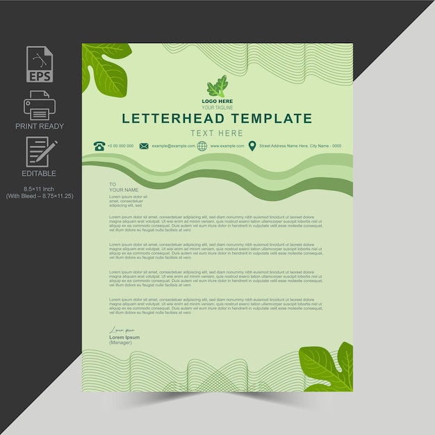 Vector letterhead design