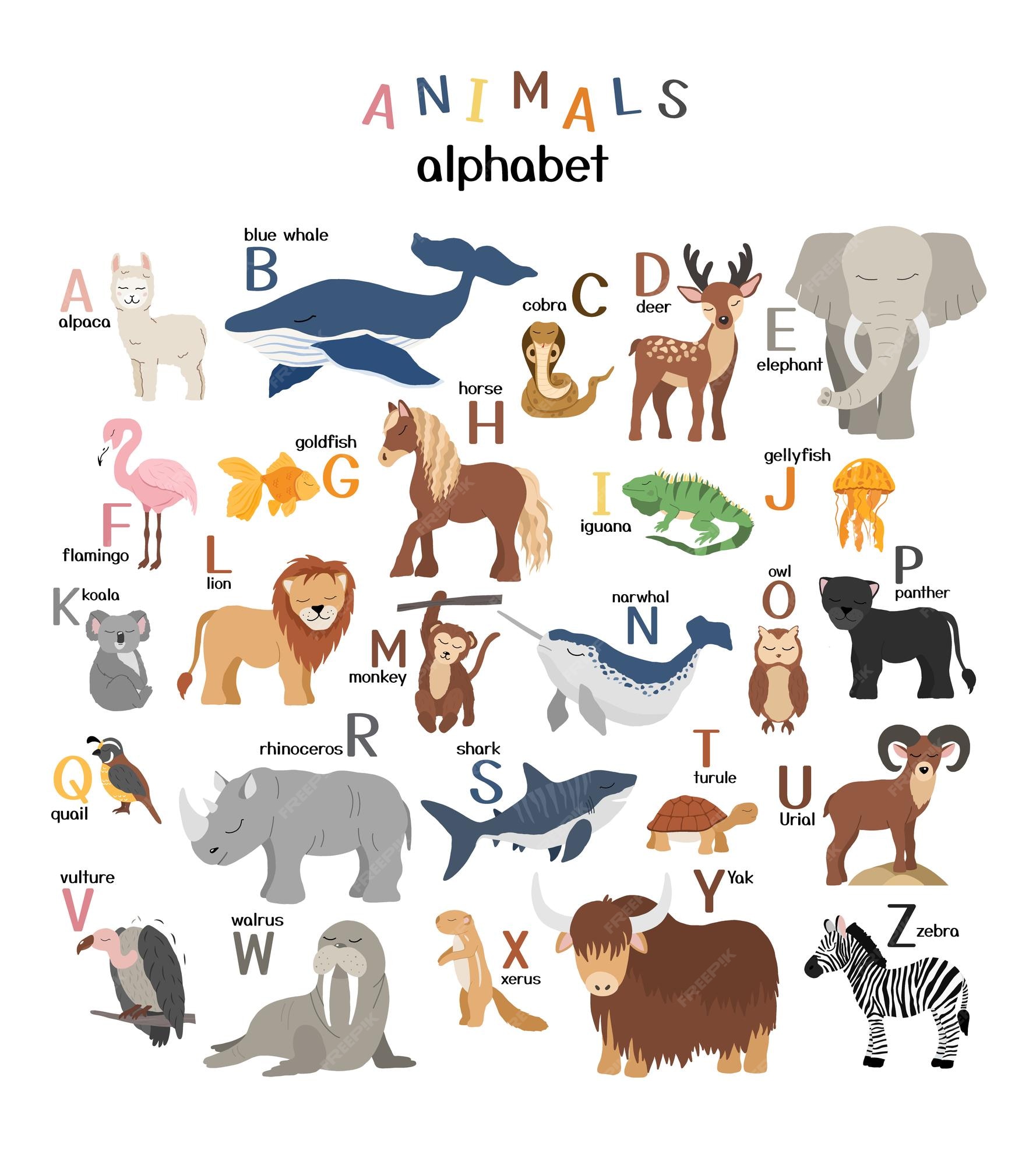 Premium Vector | Vector letters of the alphabet with cute animals for kids  education hand drawn style characters and