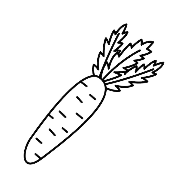 Vector lijn kunst wortel icoon Geïsoleerde groente silhouet in cartoon stijl voor kleurplaat