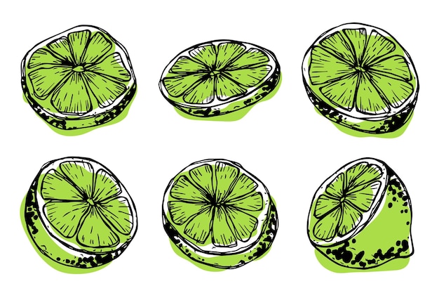 vector lime clipart hand drawn citrus set fruit illustration for print web design decor