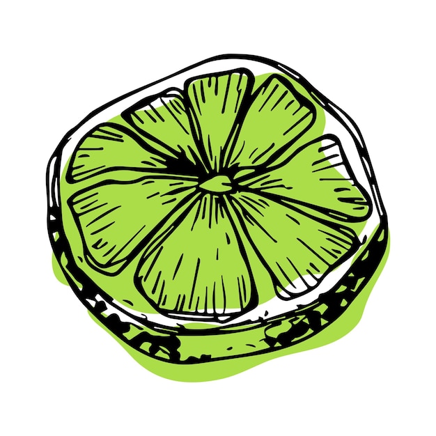 Vector lime clipart Met de hand getekende citruspictogram Fruit illustratie Voor afdrukken webdesign decor