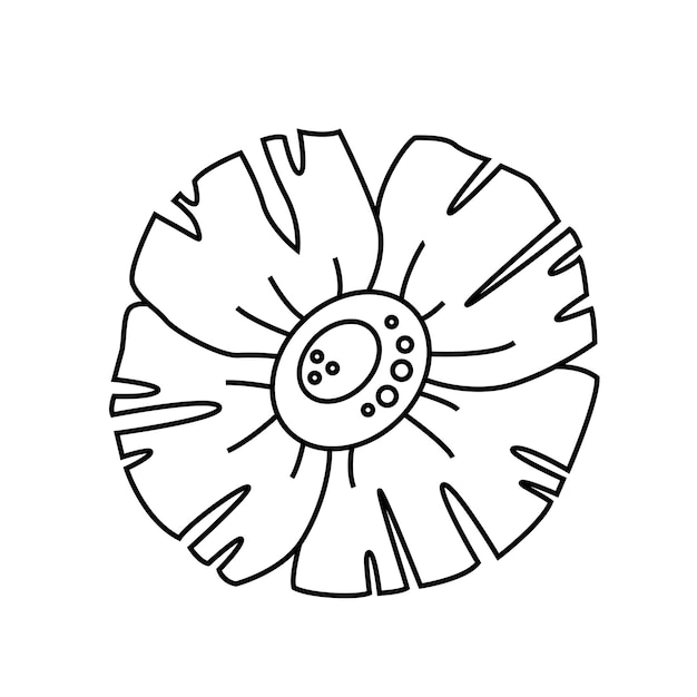 Flore astratta di linea vettoriale. pianta a contorno nero isolata su uno sfondo bianco.