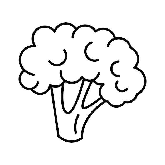 Vector line art broccoli icon. Flat grocery pictogram for coloring page