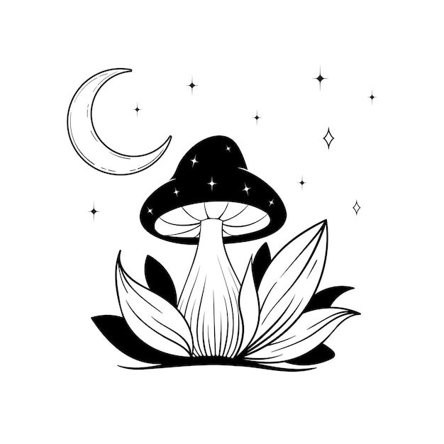 Vector line art mystical elements Esoteric crescent moon mushrooms stars leaves line art