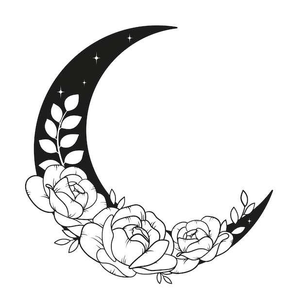 Vector vector line art mystical elements esoteric crescent moon peony rose leaves stars line art