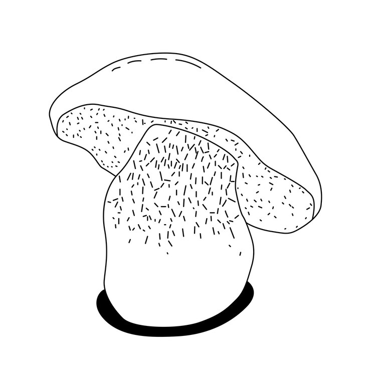 Vector vector line icon for mushroom white button isolated vintage vector illustration