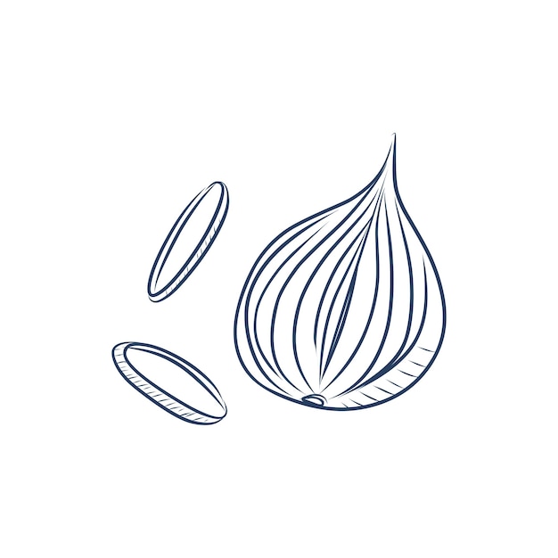 Vector line icon for onion for youre design