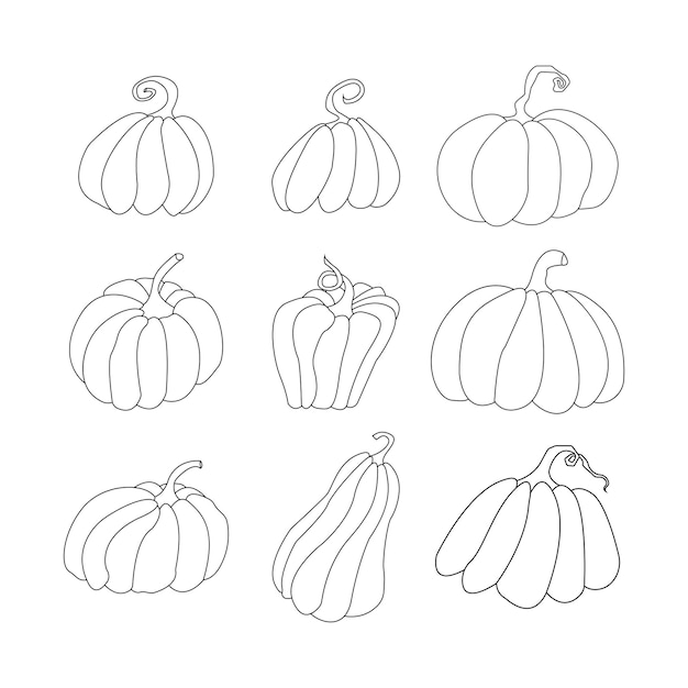 Vector line icon for pumpkin