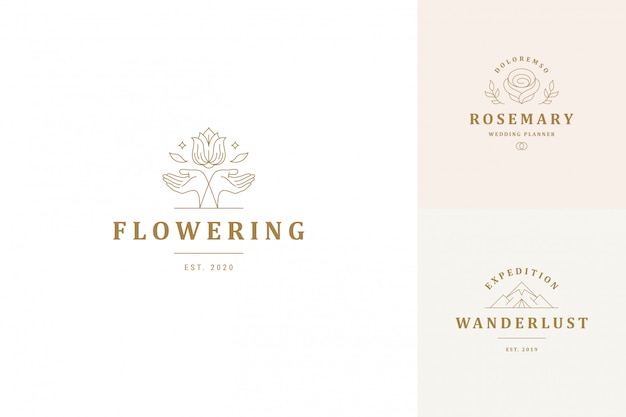 ベクトル線ロゴエンブレムデザインテンプレートセット-女性のジェスチャーの手とバラの花のイラスト