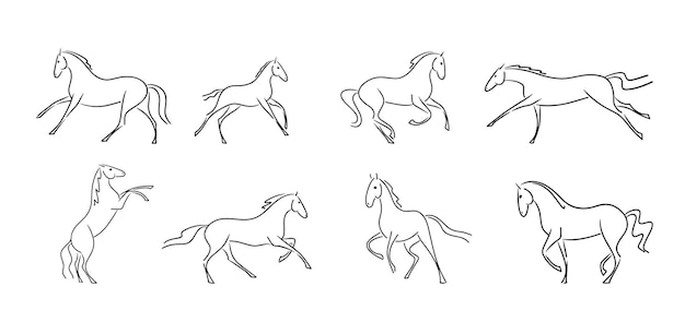 Набор векторных линий силуэтов лошадей