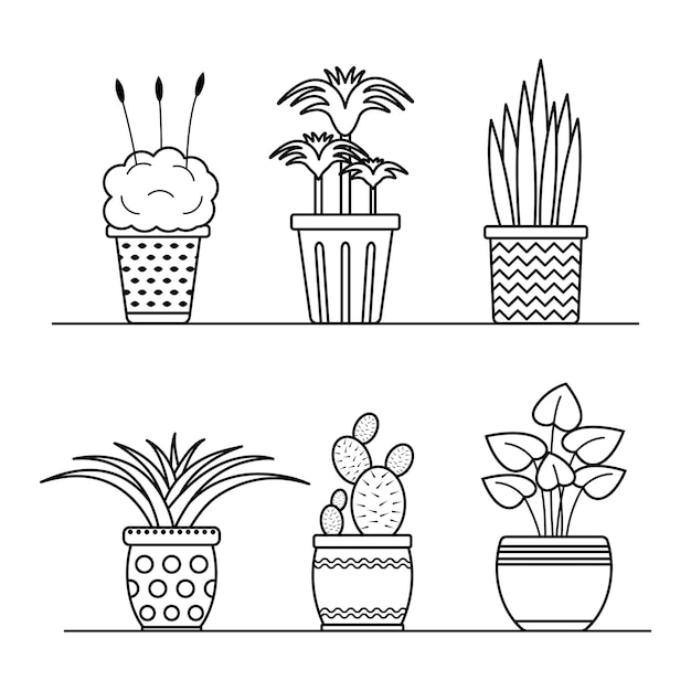 Vector lineaire planten in potten set Geïsoleerde schets ingegoten huis bloemen collectie om in te kleuren